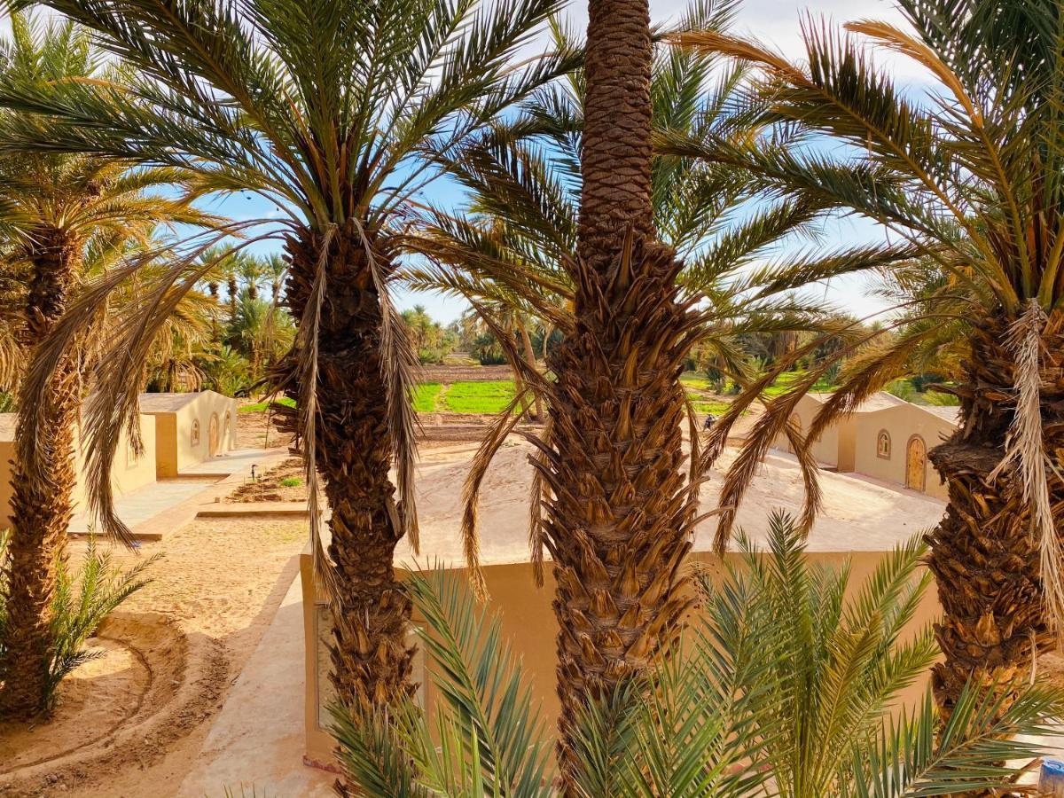 Camp Auberge Sahara Marokko M’hamid El Ghizlane Exterior foto
