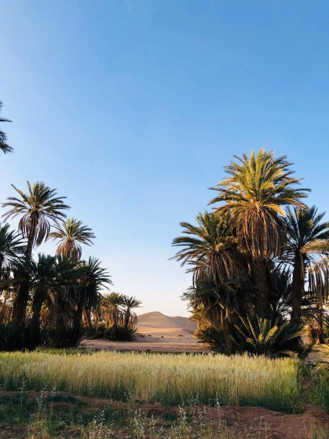 Camp Auberge Sahara Marokko M’hamid El Ghizlane Exterior foto